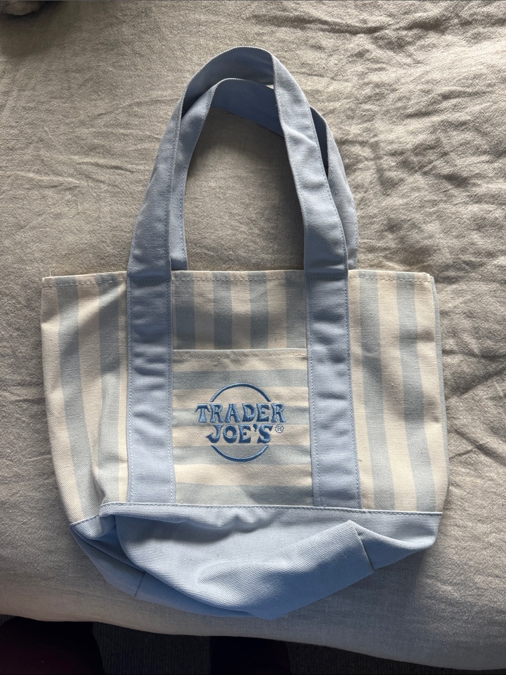 Small Trader Joe's Light Blue & White Striped Canvas Tote